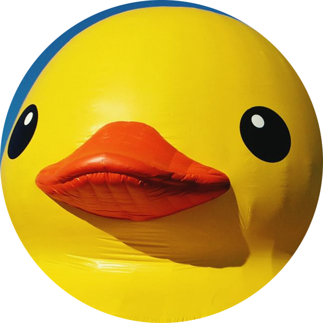 Duck